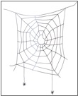 spider